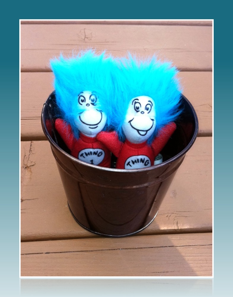 T1 T2 Planter