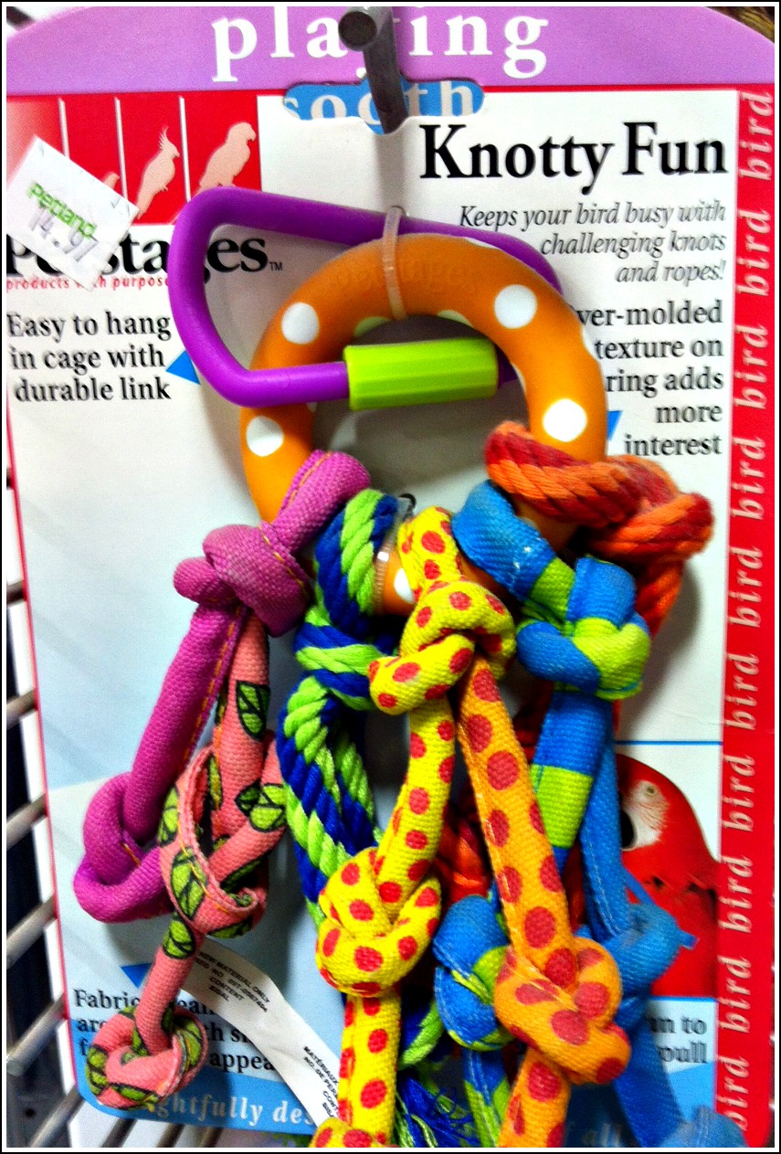 Knotty Fun